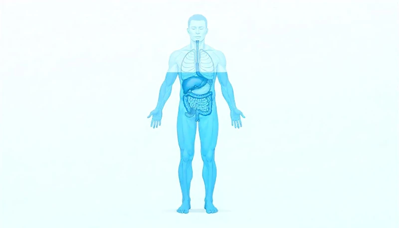 Miért fontos a megfelelő vízfogyasztás